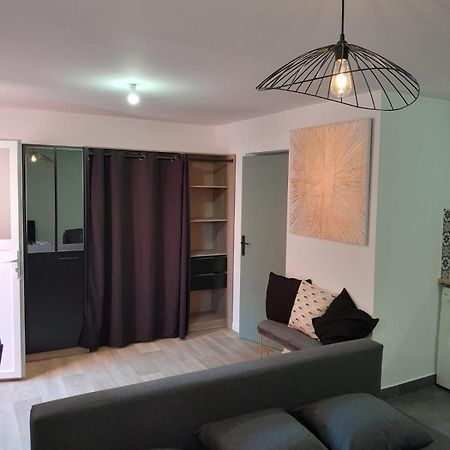 Appartement Proche Gare Saint-Brieuc Buitenkant foto